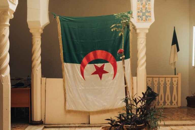 Learn Algerian Arabic : The Essentials for Your Next Trip